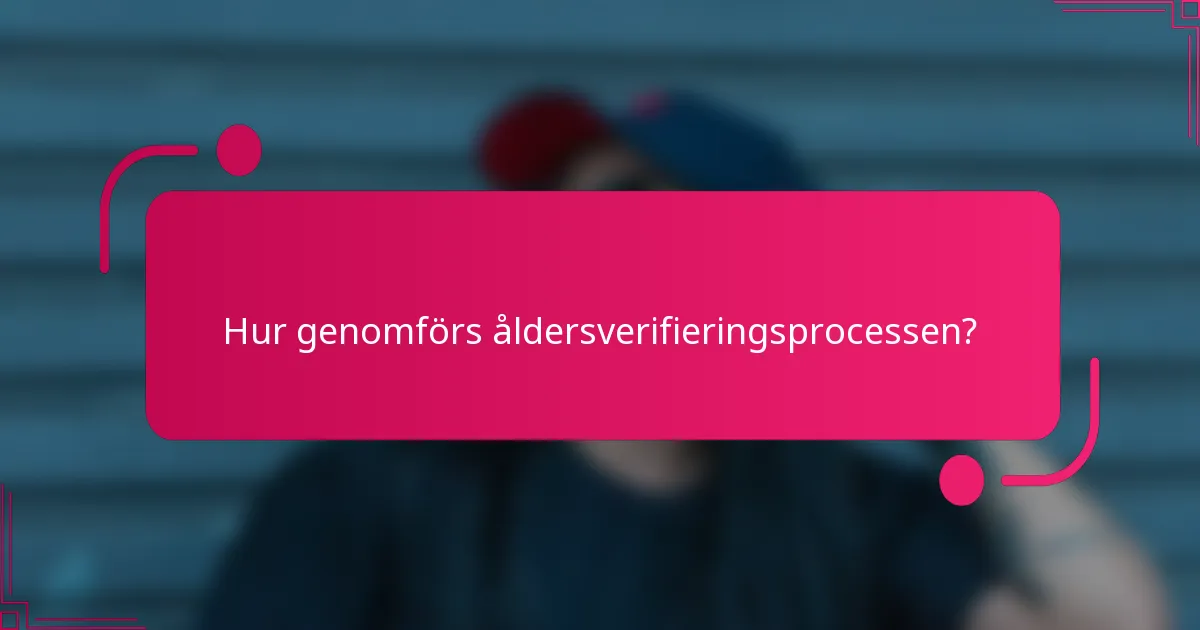 Hur genomförs åldersverifieringsprocessen?
